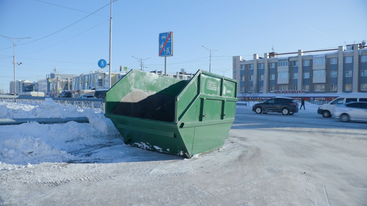 На Камчатке стартовала экологическая акция «Елки в деле»