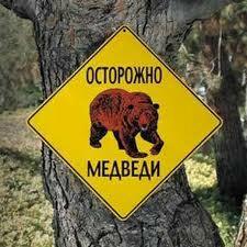 Памятка поведения при встрече с медведем