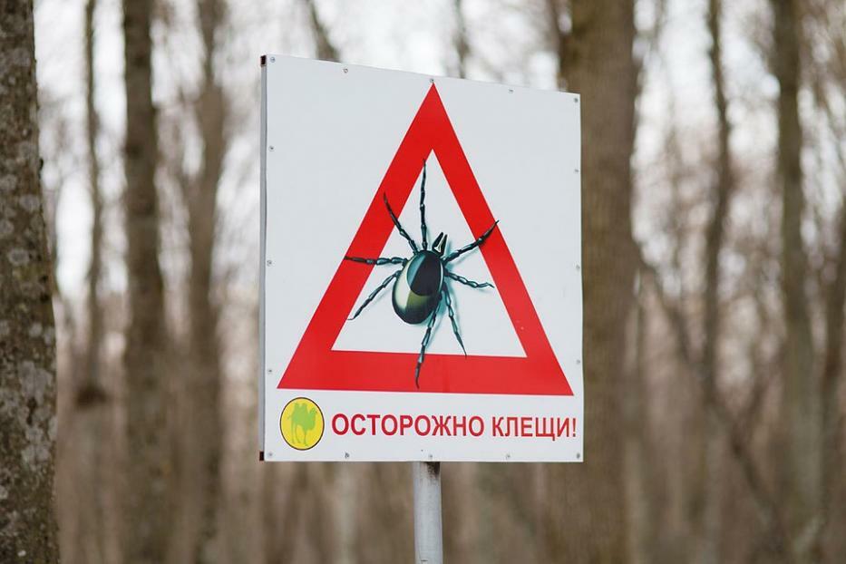 Памятка «Осторожно-клещи!»
