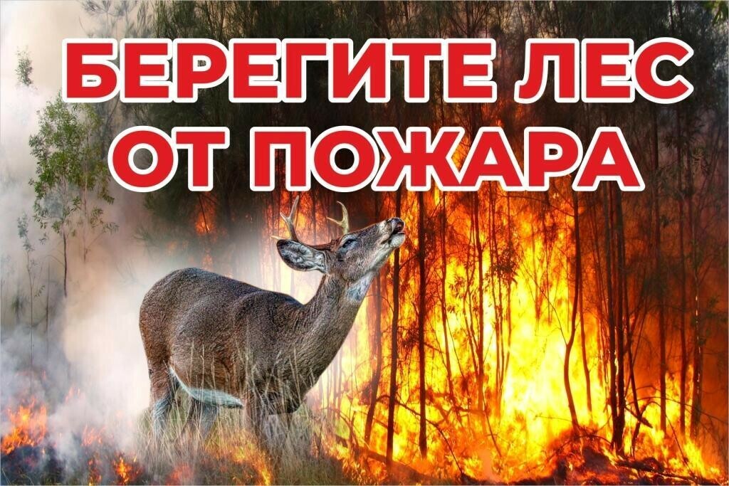 Памятка по действиям при возникновении лесных пожаров
